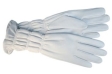 Перчатки женские Eleganzza, цвет: белый IS810 2008 г инфо 13590v.