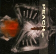 Peach Giving Birth To A Stone Формат: Audio CD Дистрибьютор: Volcano Records Лицензионные товары Характеристики аудионосителей 2007 г Альбом: Импортное издание инфо 3086z.